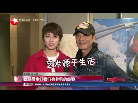 任达华梁咏琪片场齐齐围着狗转  梁咏琪为什么大赞任达华体力好？【看看星闻】【东方卫视官方HD】