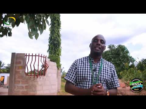 TANESCO WAJA KIDIGITALI ZAIDI NA MFUMO MPYA WA MAOMBI YA KUUNGANISHA UMEME WA NIKONEKT 