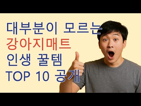 강아지매트 인생 추천템 TOP10