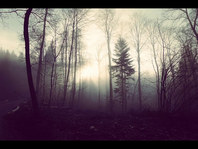 Autumn Nostalgie - Epilogue