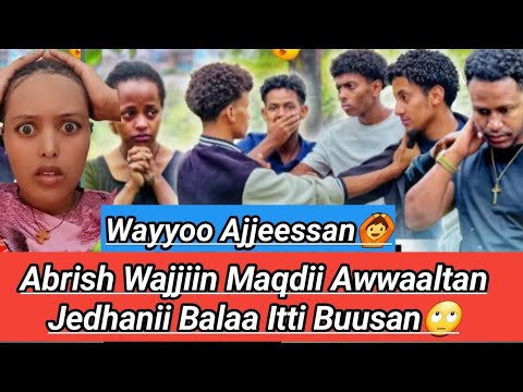 Maqdii Baddee Dhaabamte Abrish Wajjiin Awwaaltan Jedhanii