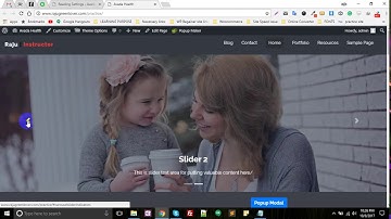 How to install a Wordpress theme as like demo look