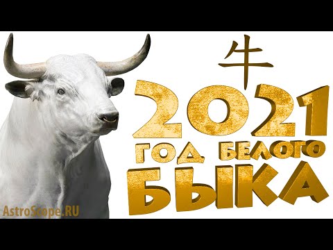Год Быка 2021: китайский гороскоп на 2021 год Быка