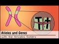 Genetic Traits and Taste Perception: The Science Behind PTC Testing