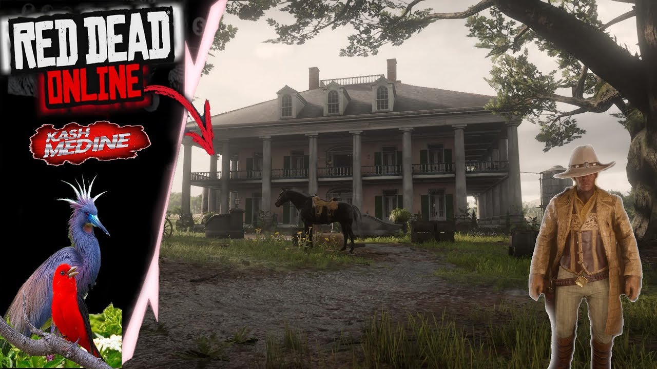 Red Dead Redemption 2 Online Spot A Oiseaux Youtube