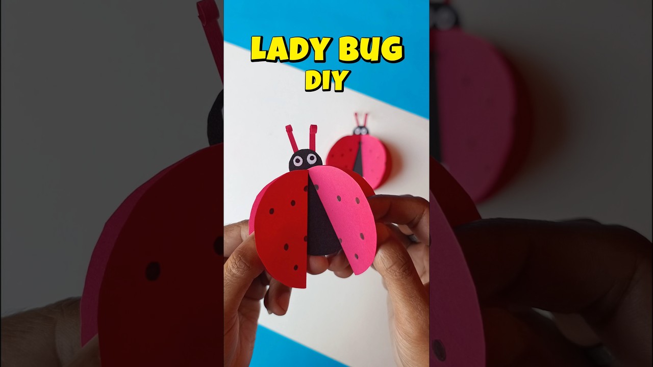"Lady Bug DIY"🐞 