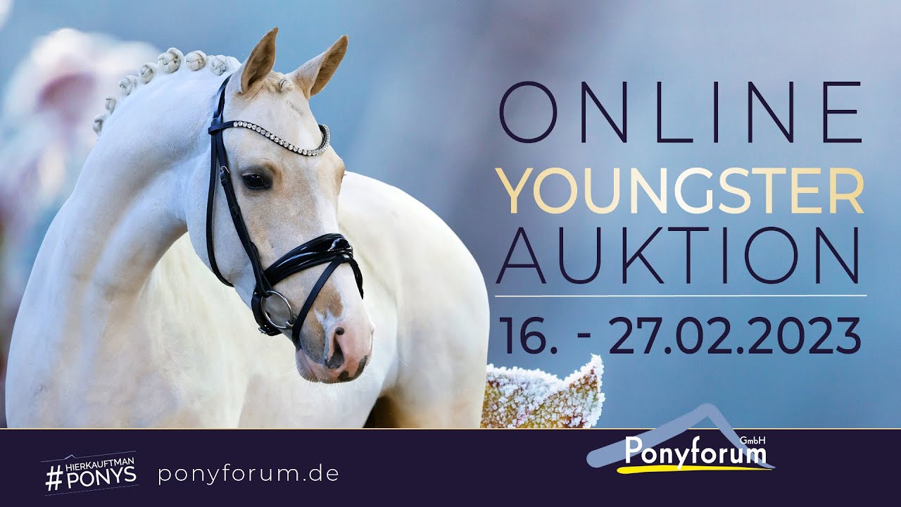 Nimmerland HW Hengst 2020 v. Neverland WE / FS Golden Highlight - YouTube