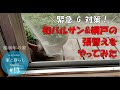 #13【リノベの家】＼緊急G対策! ／初バルサン&網戸の張替えをやってみた