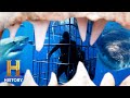 Shark Behavior and Cage Diving