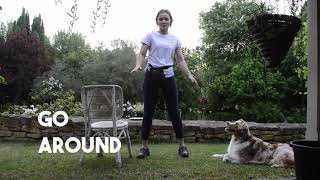 Go around - Teach your dog to circle an object