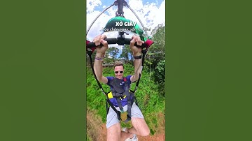 Sẵn sàng băng xuyên rừng thông Đà Lạt với Zipline 1500m chưa nào? 😎