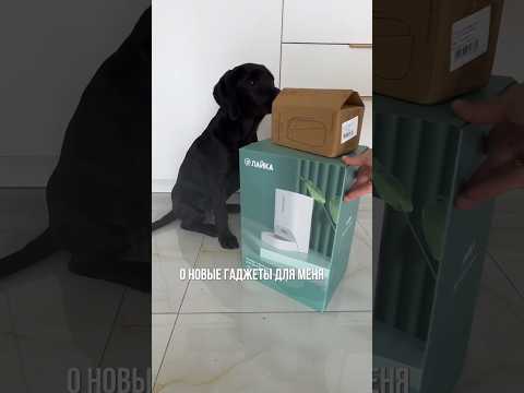 Умные #гаджеты для