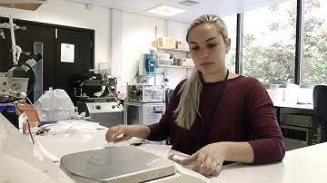 LAB WORK: weighing marine sediments (time-lapse)
