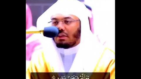 🍃ما أعظم القرآن🍃 | غيث_القلوب🍁 ما تيسر من سورة هود #الشيخ_ياسر_الدوسري #قراءات ..