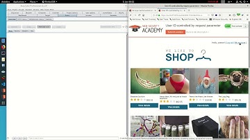 User ID controlled by request parameter  (Video solution)