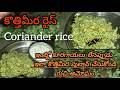 కొత్తిమీర రైస్ రెసిపీ in telugu |  కొత్తిమీర పులావ్| coriander rice recipe