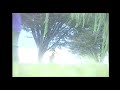 daisansei - 晴間を追い(Official Music Video)