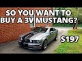 So you want to buy a 3v Mustang GT?