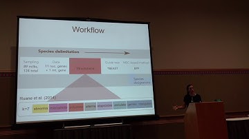 Chambers: Revisiting species delimitation in the Lampropeltis triangulum complex