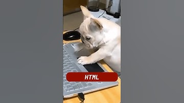 How to Build a Quiz App with JavaScript | Step by Step Tutorial Short #theflutistprogrammer#quiz