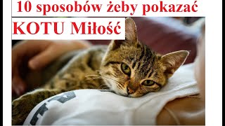 10 sposobów żeby pokazać KOTU Miłość