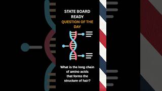 Barber State Board Prep: Polypeptide Chain Explained