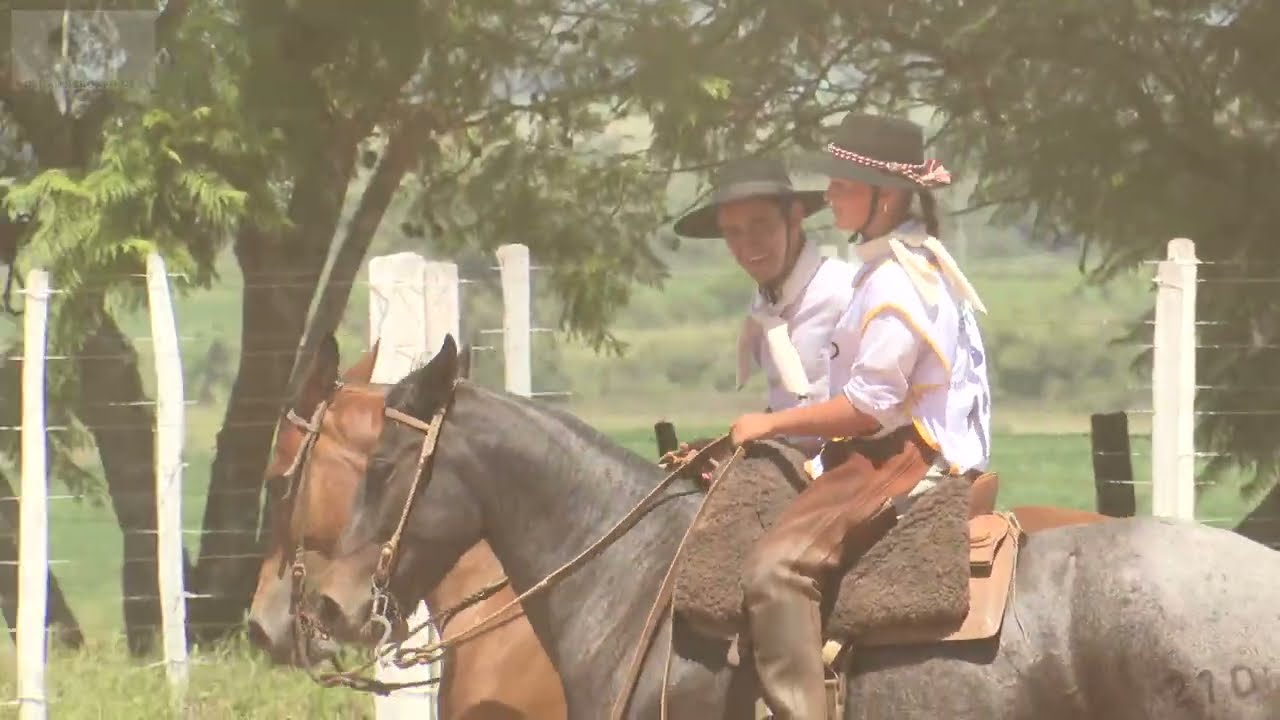 Notas 10 das Paleteadas do NCCCRS 2026