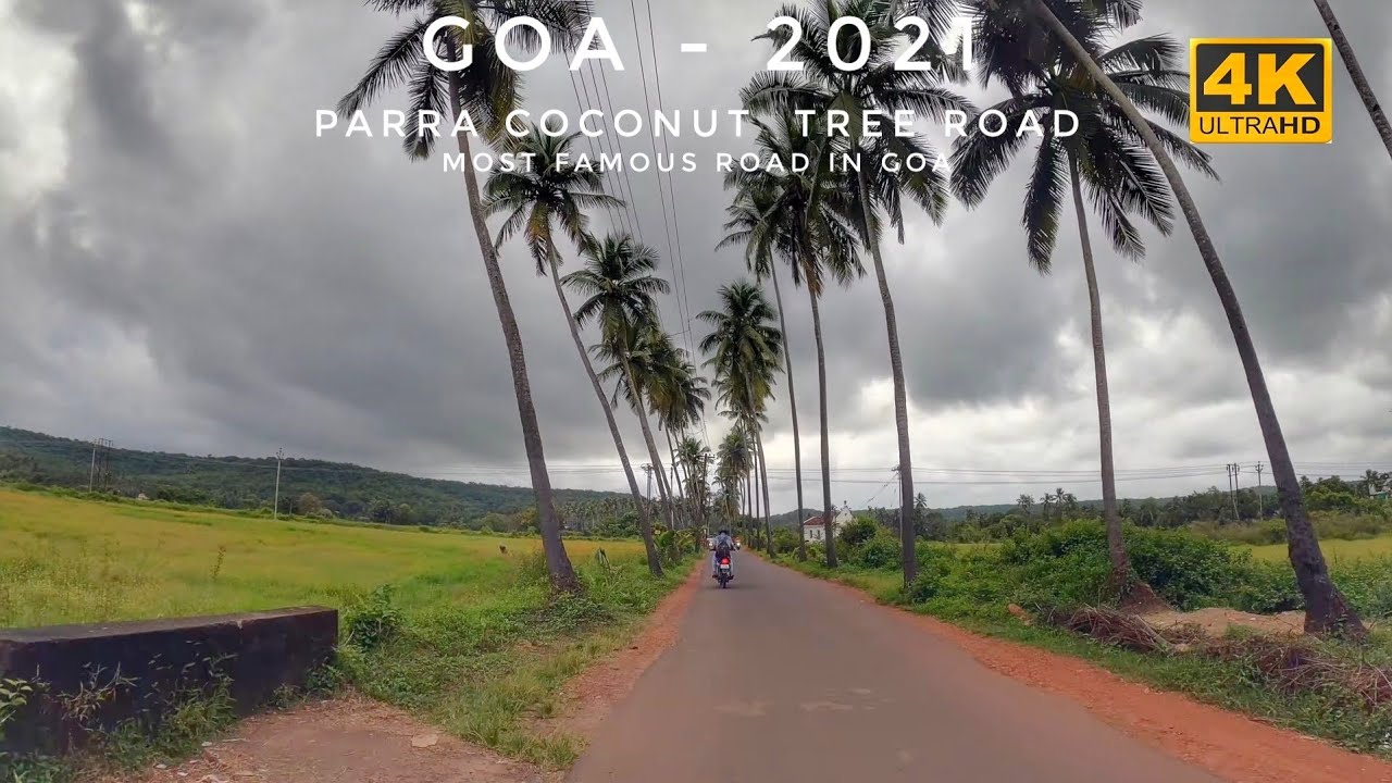 Parra Coconut Tree Road, Most Famous Road In Goa, India 4k Goa Vlog