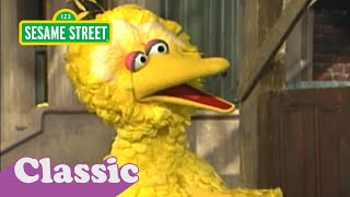 Good Morning Mister Sun With Big Bird Sesame Street Classic