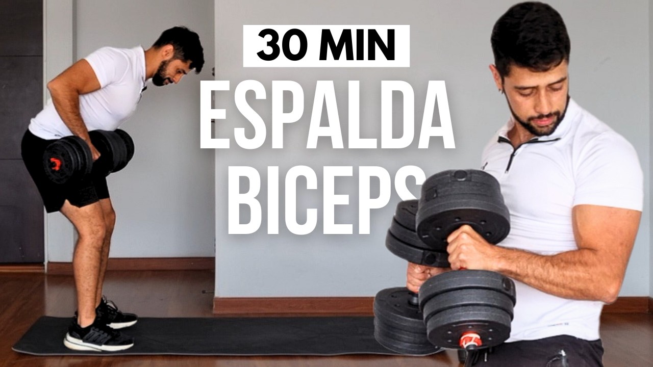 rutina de espalda y biceps con mancuernas 🔥 ejercicios para biceps y ...