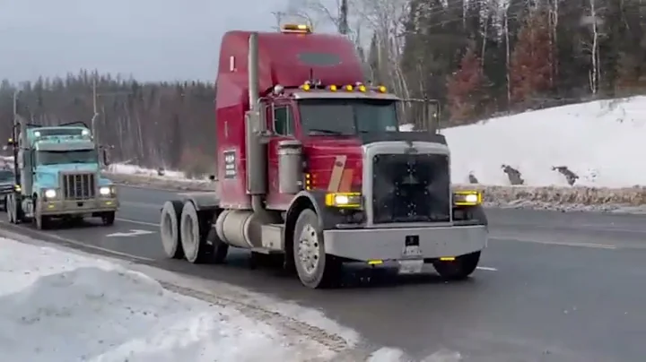 Vertefeuille - Let's go Truckers OFFICIAL