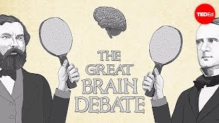 The great brain debate - Ted Altschuler The great brain debate - Ted Altschuler
