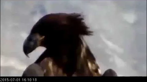 7 1 15 Two Harbors Close up of K-58