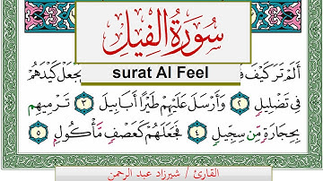 سورة الفيل شيرزاد عبد الرحمن طاهر Surah Al Feel Sherzad Taher برواية حفص عن عاصم