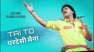 Tai  To Pardesi Maina  | Cg lofi Song |  Rj Lofi  | Karan Khan