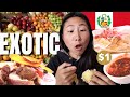 EXOTIC! 🇵🇪 Peruvian fruits & Peruvian street food. Mercado San Camilo AREQUIPA Perú CHEAP EATS!