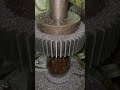 Spur gear 5module #shorts #machine