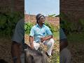 #funnyshorts #banglacomedyvideo #comedy #entertainment