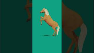 Download Lagu Horse Green Screen No copyright #greenscreen #chromakey #ytshorts #shorts MP3