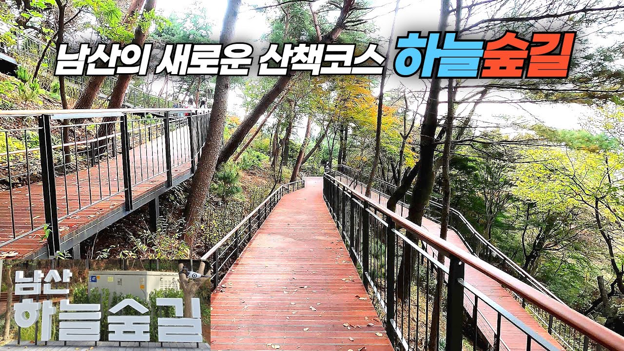 새롭게 개장한 남산의 무장애 산책 데크길 남산하늘숲길 Walking deck path of Mt. Namsan