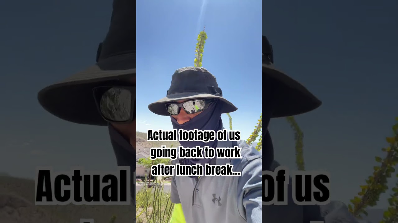 Lunch-break HIKE thru desert Ocotillos…