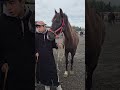 #animalshorts #horse #tiktok #animals #cow #birds #trending #fruit #اكسبلور #animalsvideo #aww #cute