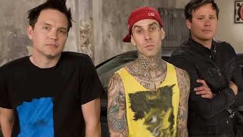 Blink 182 blame it on my youth