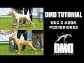 DMD Tutorial - UKC x ADBA - Proporção de Posteriores の動画、YouTube動画。