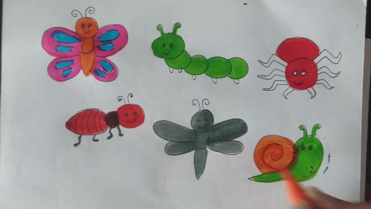 How To draw Bugs,Insects Drawing || Cute Insects drawing for Kids