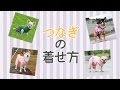 iDog&iCat つなぎの着せ方