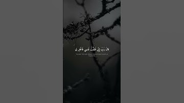 قَالَ رَبِّ إِنِّي ظَلَمْتُ نَفْسِي   محمد صديق المنشاوي   سورة القصص20262027