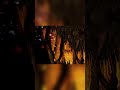 Donkey Kong Country 4-5: Torchlight Trouble #donkeykongcountry #retrogaming #dkc #snes #shorts