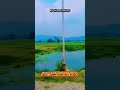 🌍MY VILLAGE HARIYALI VIDEO ☠️ #upsc #facts #music #villagelife #shorts #hari #trending #look#seen😘👿😍