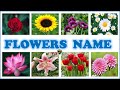 Flower Names Quiz